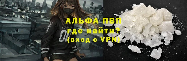 сатива Белоозёрский