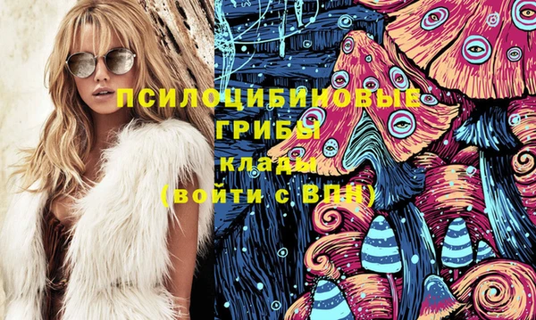 ПСИЛОЦИБИНОВЫЕ ГРИБЫ Баксан