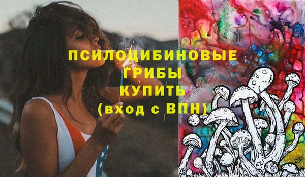 сатива Белоозёрский