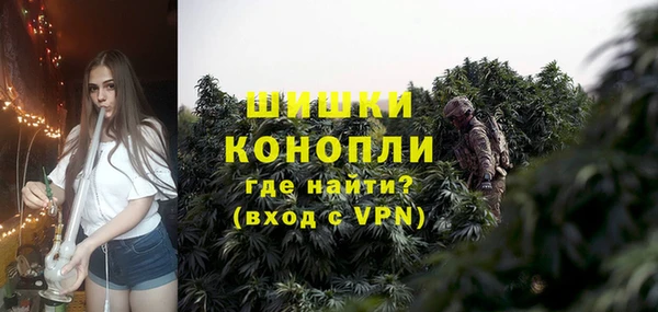 ПСИЛОЦИБИНОВЫЕ ГРИБЫ Баксан